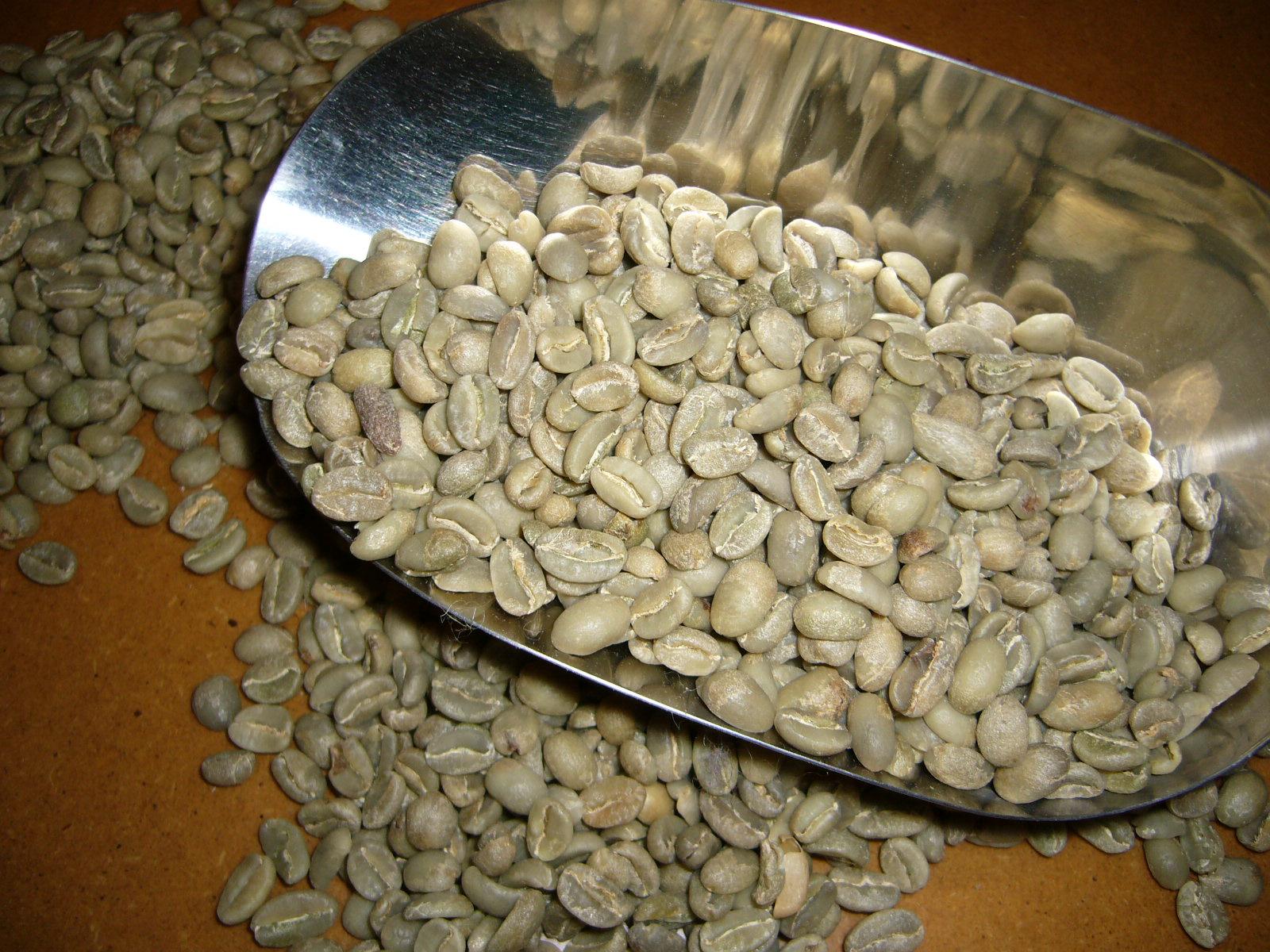 Café vert d'Ethiopie Arabica Moka Lekempti Terra Kahwa (5kg)