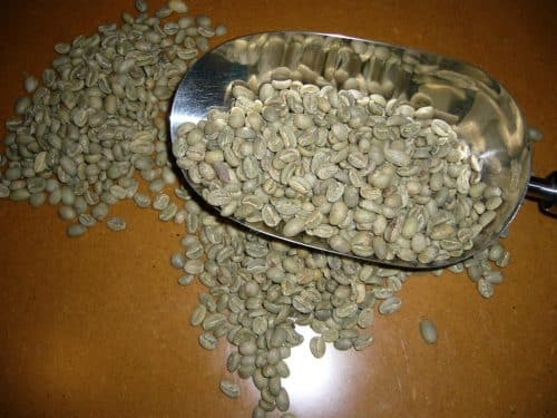 Café vert d'Ethiopie Arabica Moka Limu Terra Kahwa (5kg)