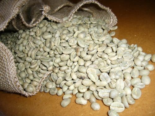 Café vert d'Ethiopie Arabica Moka Sidamo Terra Kahwa (5kg)