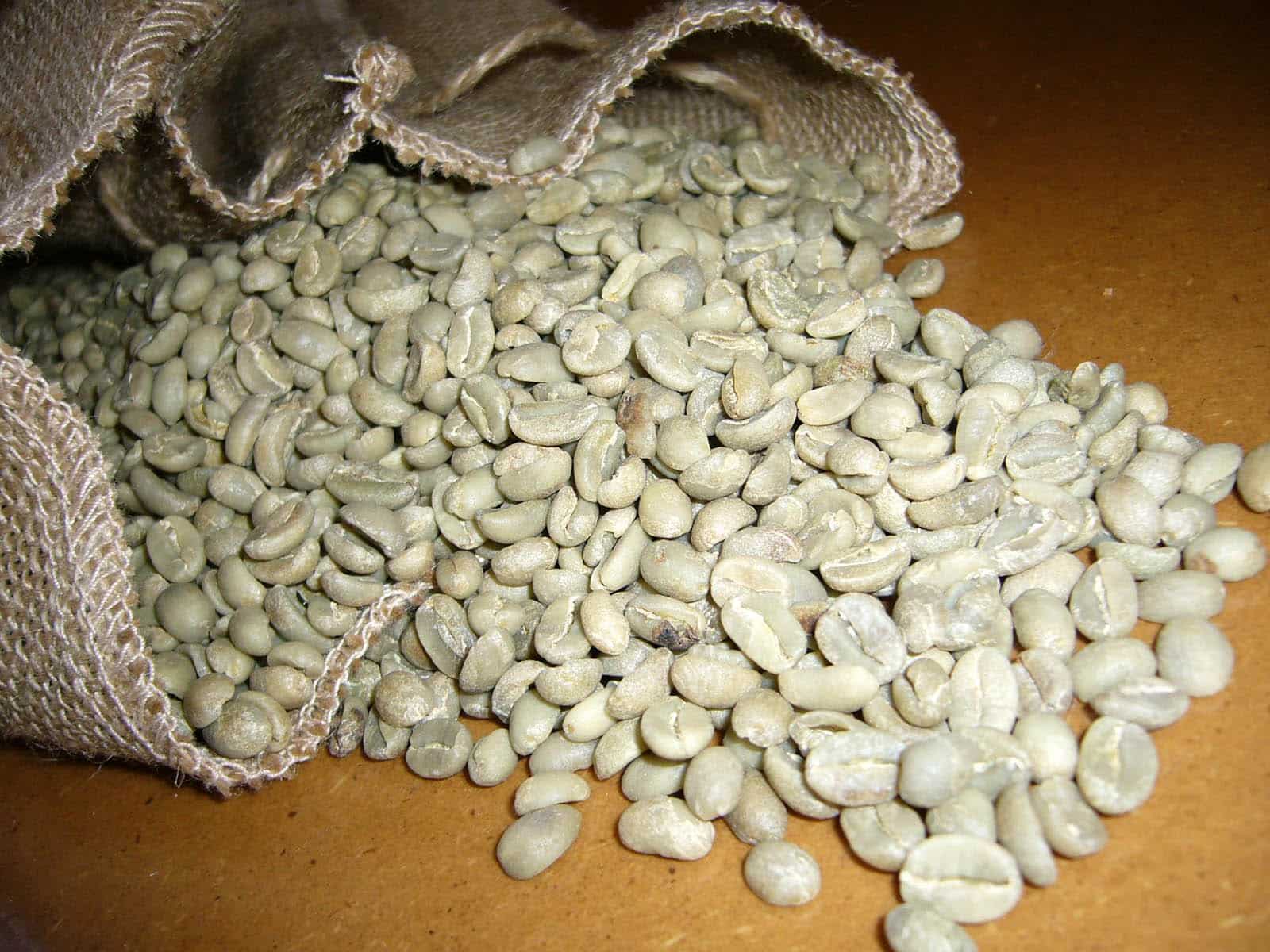 Café vert d'Ethiopie Arabica Moka Sidamo Terra Kahwa (5kg)