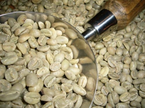 Café vert d'Ethiopie Arabica Moka Yirgacheffe Terra Kahwa (5kg)