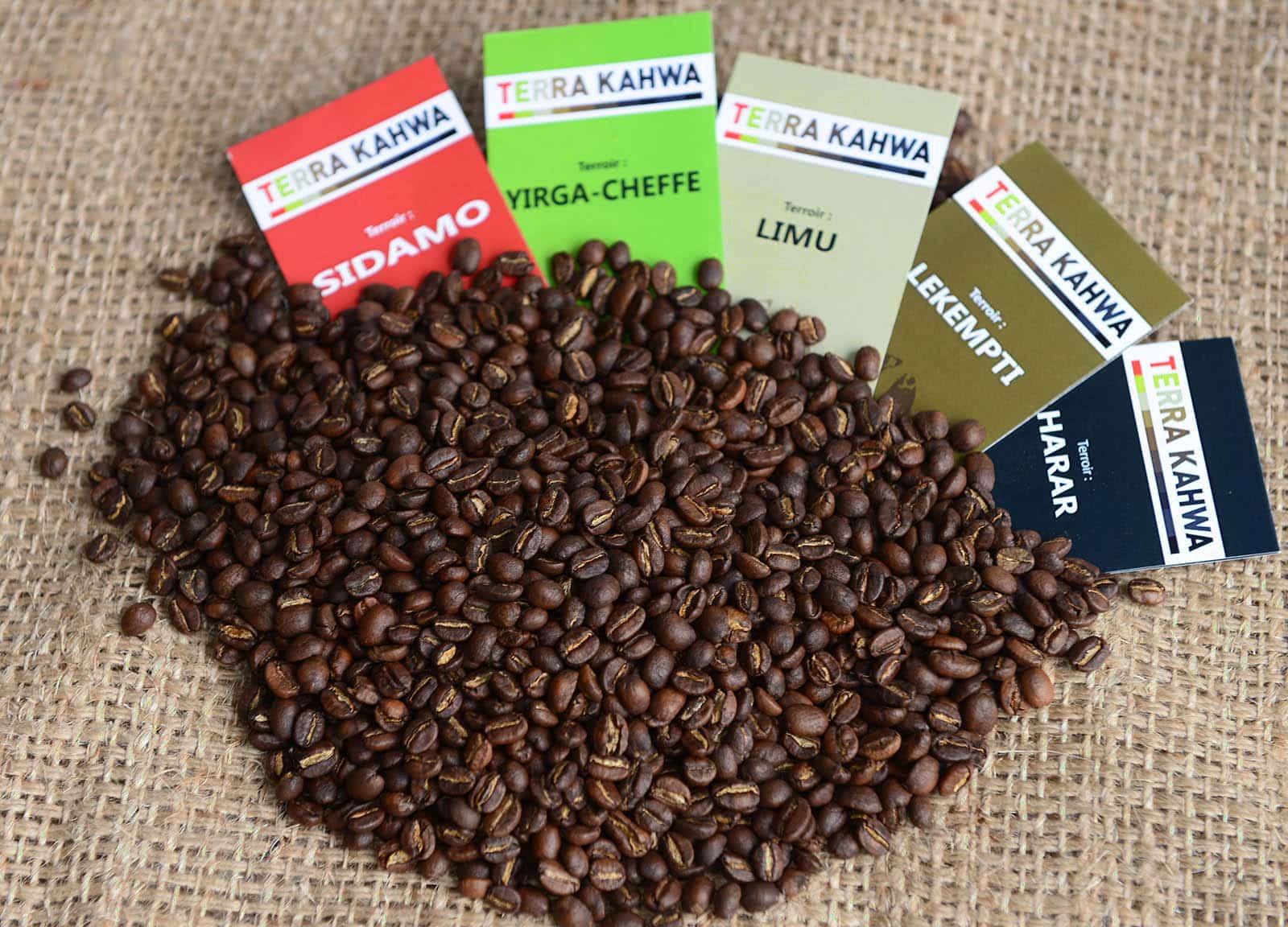 Coffret café torréfié Gastronome Arabica Moka Terra Kahwa 5kg