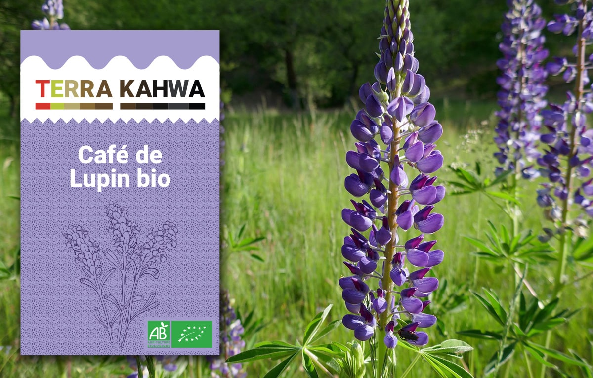 Lupin BIO (250g) - Une alternative au café