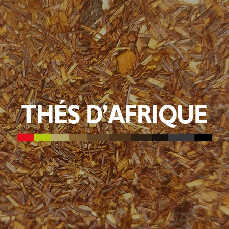 Nos thés d’Afrique Frontière Kenya/Ethiopie